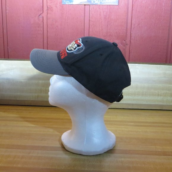 Accessories Modesto Nuts Hat Minor League Baseball Cap Poshmark